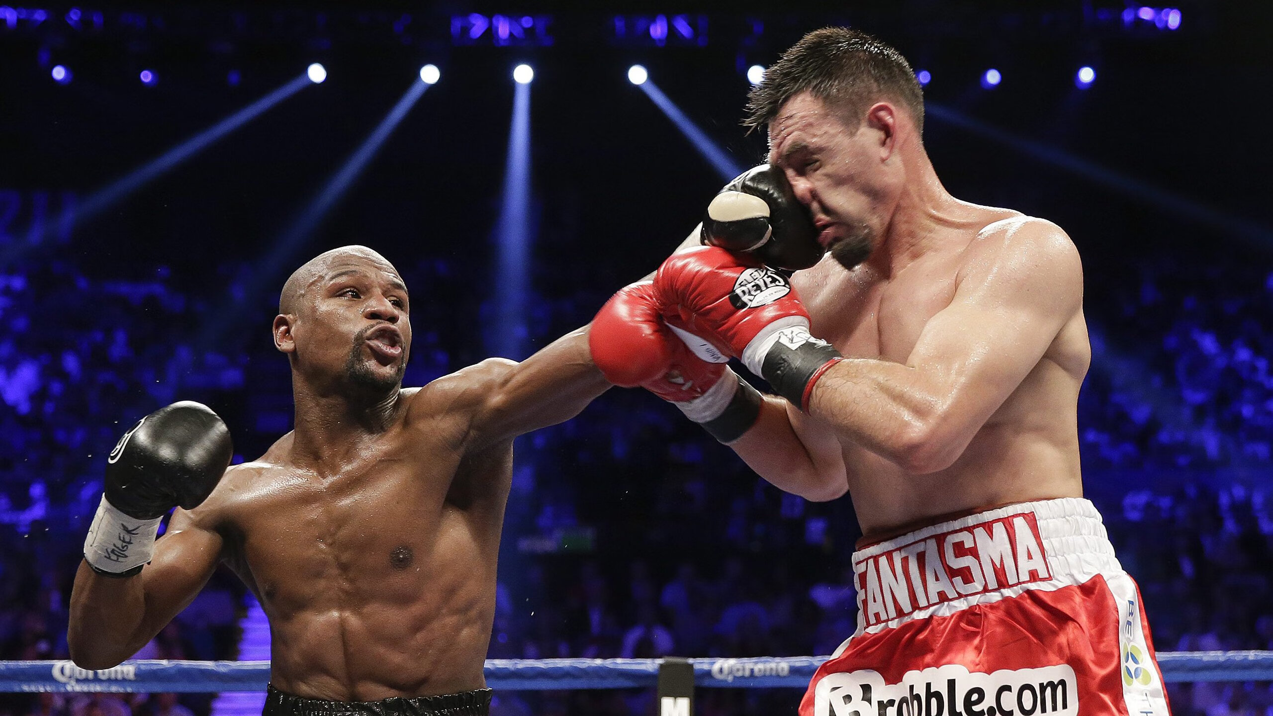 仰泳赛场南非表现持续稳定，仰泳项目